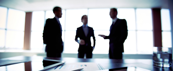 Consulting Services