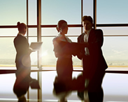 Consulting Services
